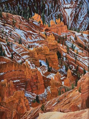 Perspective-View from Cedar Breaks